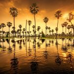 Top 10 Travel Destination for 2025