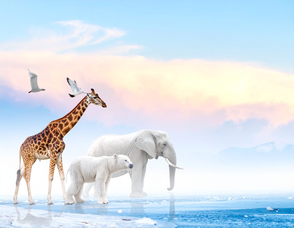 some of biggest animals overall that have ever roamed Earth