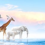 some of biggest animals overall that have ever roamed Earth