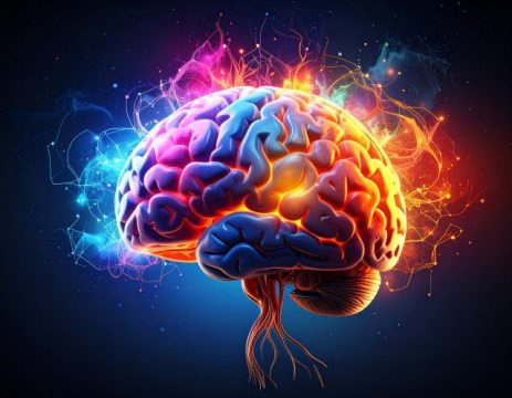 10 mind bending facts about the human brain’s anatomy and function